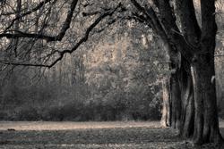 Depressione da lutto, come far rinascere il desiderio